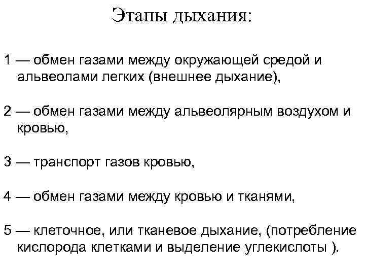 Этапы дыхания: 1 — обмен газами между окружающей средой и альвеолами легких (внешнее дыхание),