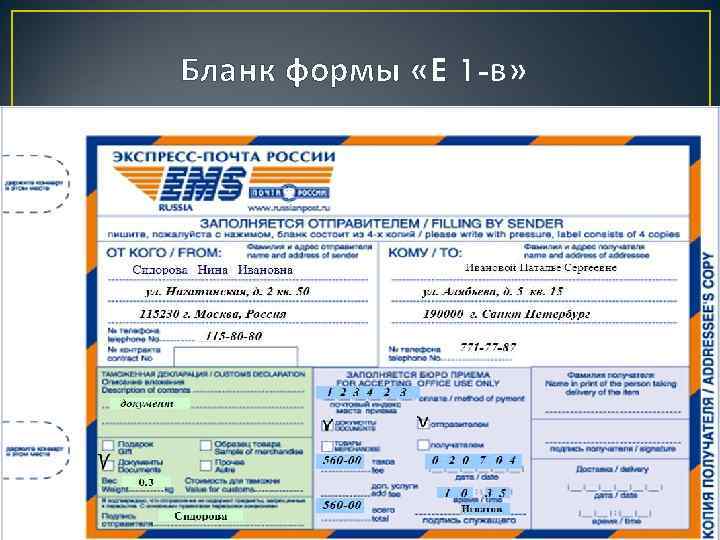 Бланк формы «E 1 -в» 