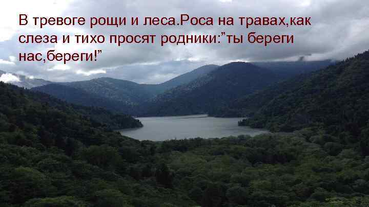 В тревоге рощи и леса. Роса на травах, как слеза и тихо просят родники: