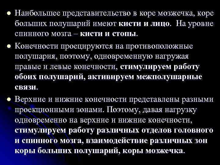 l l l Наибольшее представительство в коре мозжечка, коре больших полушарий имеют кисти и