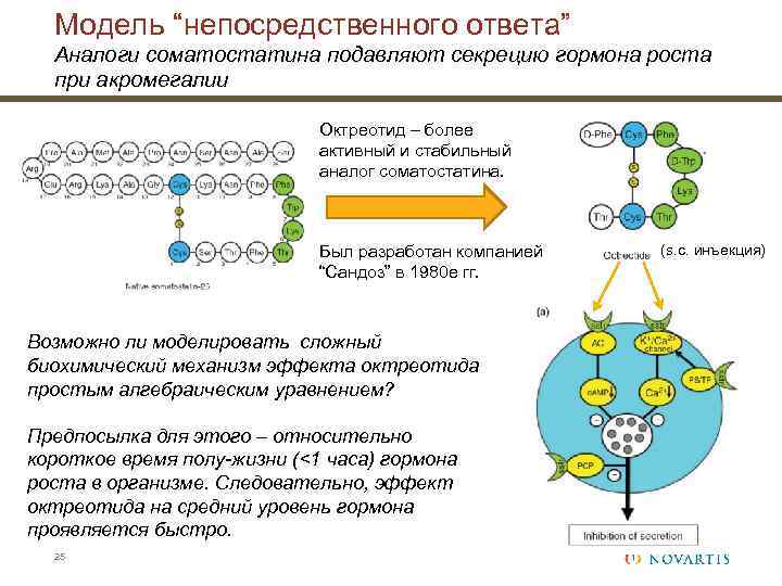 Модель “непосредственного ответа” Аналоги соматостатина подавляют секрецию гормона роста при акромегалии Октреотид – более