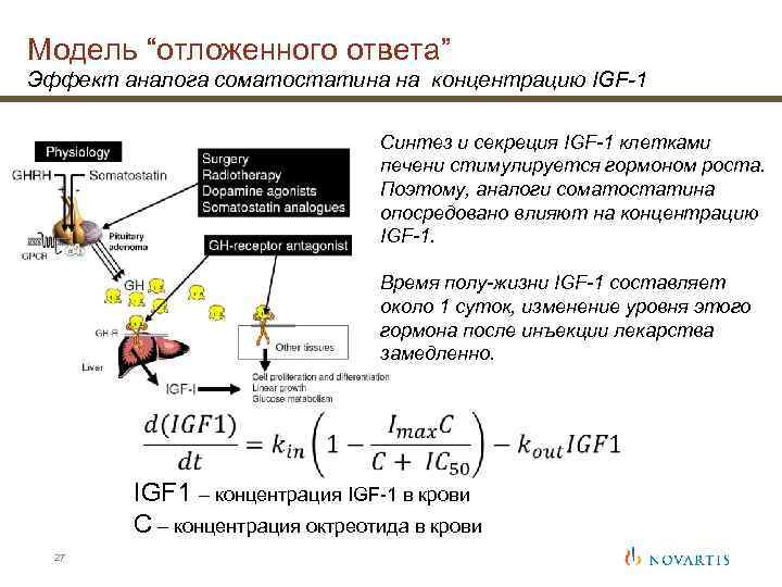 Модель “отложенного ответа” Эффект аналога соматостатина на концентрацию IGF-1 Синтез и секреция IGF-1 клетками