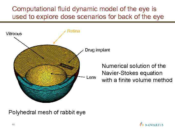 Computational fluid dynamic model of the eye is used to explore dose scenarios for