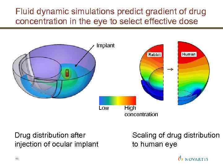 Fluid dynamic simulations predict gradient of drug concentration in the eye to select effective