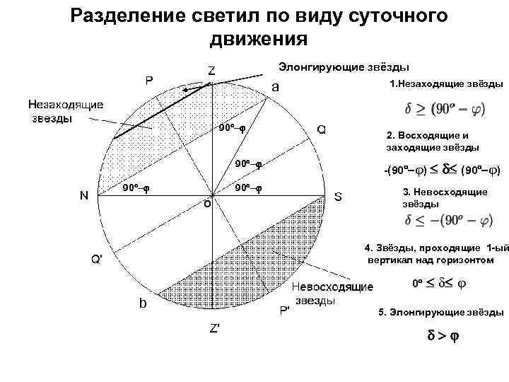 Разделение светил по виду суточного движения Элонгирующие звёзды а 90 1. Незаходящие звёзды 2.