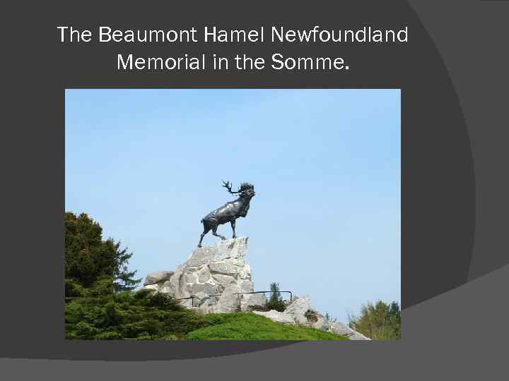 The Beaumont Hamel Newfoundland Memorial in the Somme. 