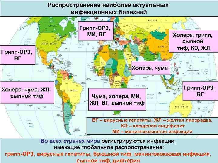 Распространение наиболее актуальных инфекционных болезней Грипп-ОРЗ, МИ, ВГ Холера, грипп, сыпной тиф, КЭ, ЖЛ