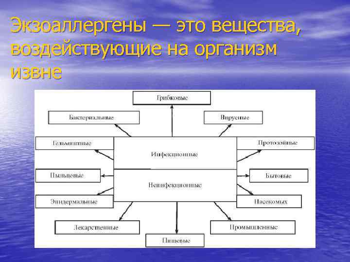 Экзоаллергены — это вещества, воздействующие на организм извне 