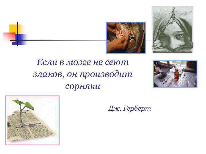 Если в мозге не сеют злаков, он производит сорняки Дж. Герберт 