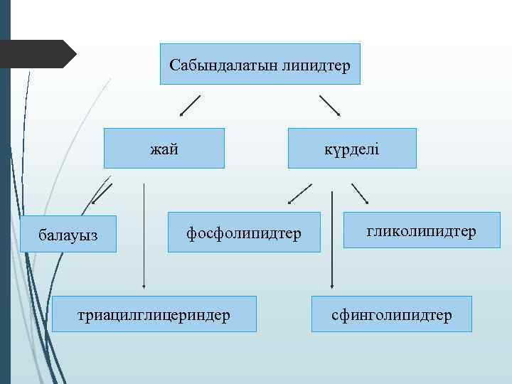 Липидтердің құрылымдық компоненттері презентация