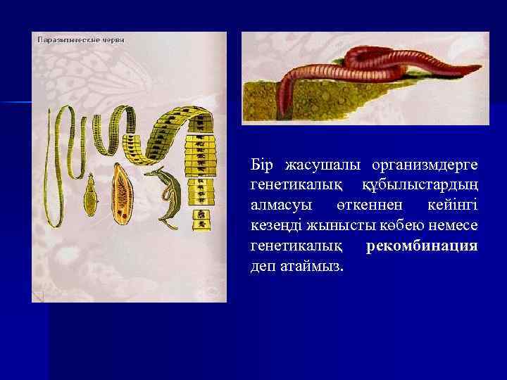 Бір жасушалы организмдерге генетикалық құбылыстардың алмасуы өткеннен кейінгі кезеңді жынысты көбею немесе генетикалық рекомбинация