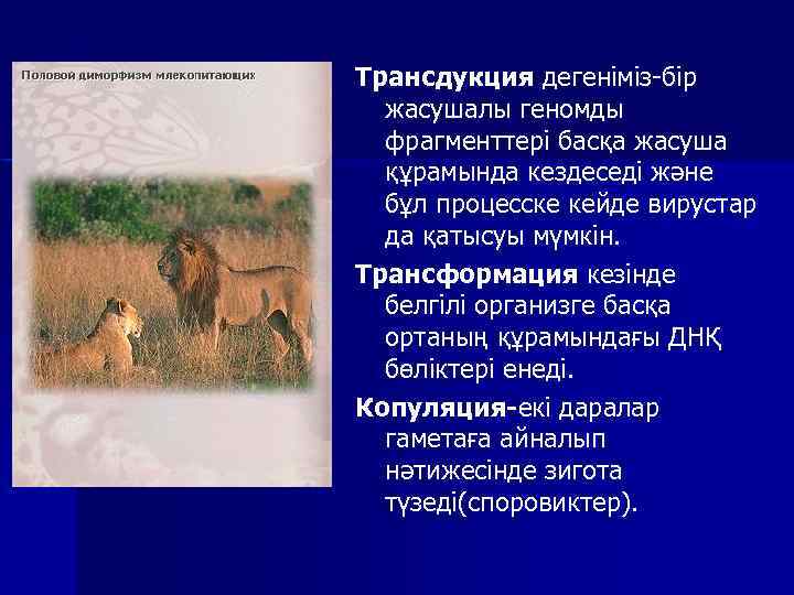 Трансдукция дегеніміз-бір жасушалы геномды фрагменттері басқа жасуша құрамында кездеседі және бұл процесске кейде вирустар