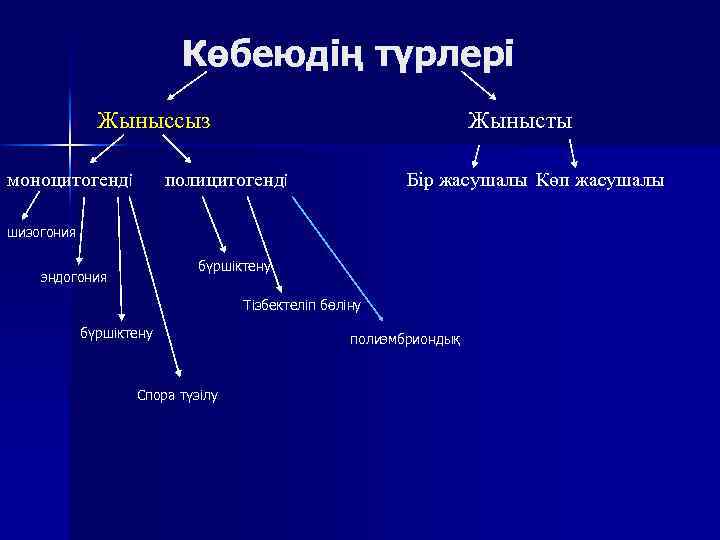 Көбеюдің түрлері Жыныссыз моноцитогенді Жынысты полицитогенді Бір жасушалы Көп жасушалы шизогония бүршіктену эндогония Тізбектеліп