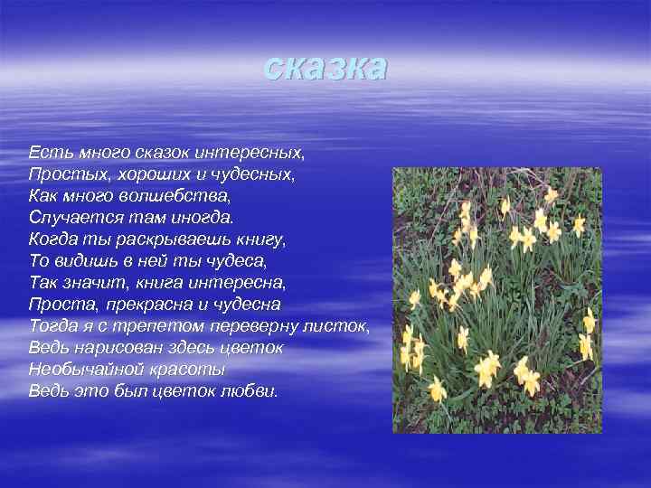 сказка Есть много сказок интересных, Простых, хороших и чудесных, Как много волшебства, Случается там