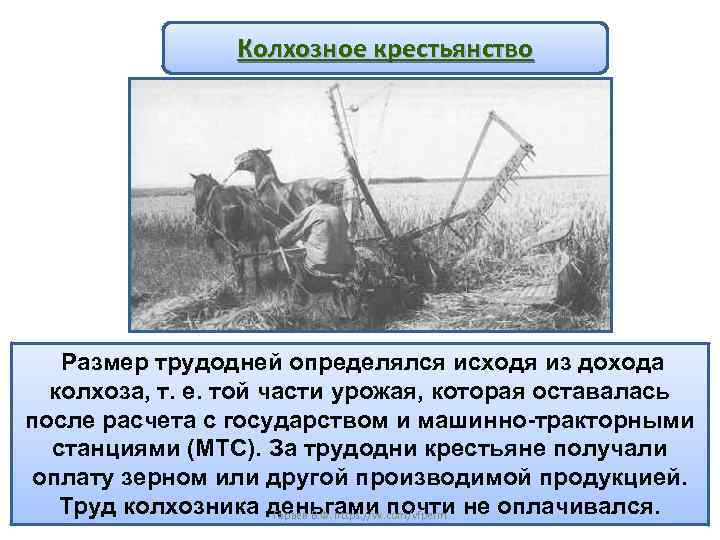 Колхозное крестьянство Размер трудодней определялся исходя из дохода колхоза, т. е. той части урожая,