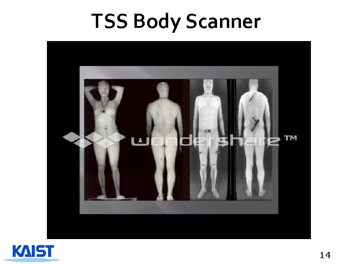 TSS Body Scanner 14 