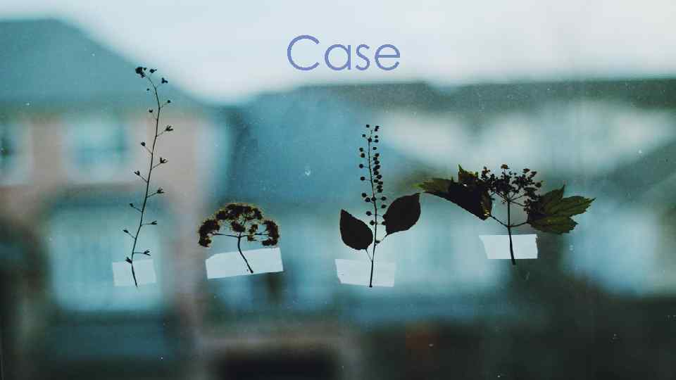 Case 