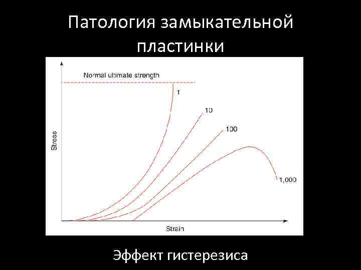 Патология замыкательной пластинки Эффект гистерезиса 