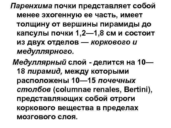 Паренхима почки представляет собой менее эхогенную ее часть, имеет толщину от вершины пирамиды до