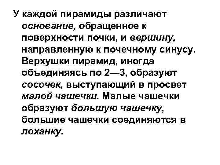 У каждой пирамиды различают основание, обращенное к поверхности почки, и вершину, направленную к почечному
