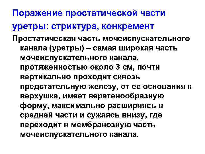 Поражение простатической части уретры: стриктура, конкремент Простатическая часть мочеиспускательного канала (уретры) – самая широкая