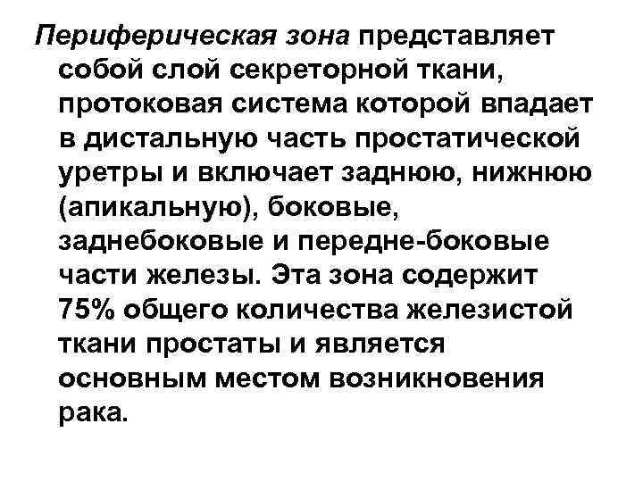 Периферическая зона представляет собой слой секреторной ткани, протоковая система которой впадает в дистальную часть