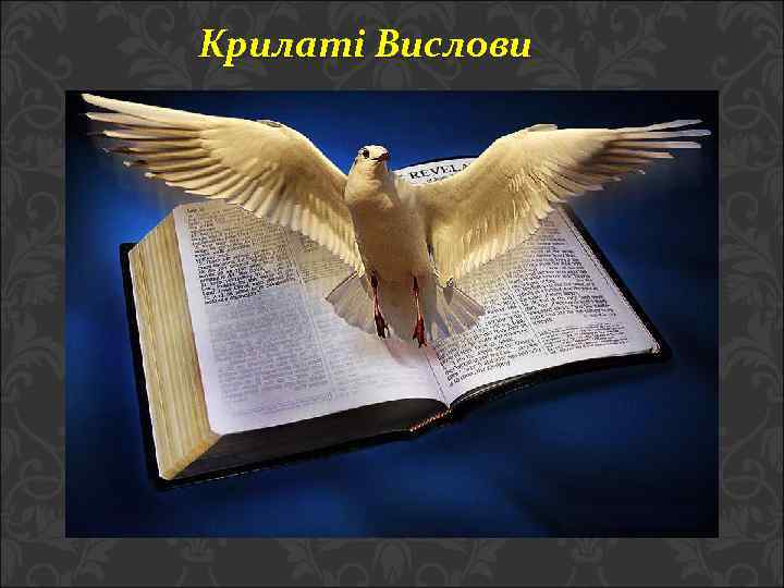 Крилаті Вислови 