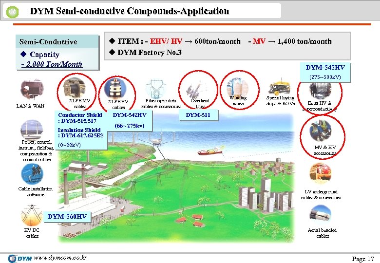 06 DYM Semi-conductive Compounds-Application Semi-Conductive u Capacity - 2, 000 Ton/Month u ITEM :