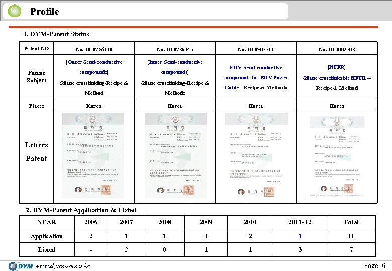 01 Profile 1. DYM-Patent Status Patent NO No. 10 -0786145 [Outer Semi-conductive [Inner Semi-conductive