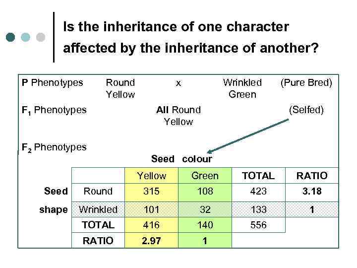 Is the inheritance of one character affected by the inheritance of another? P Phenotypes