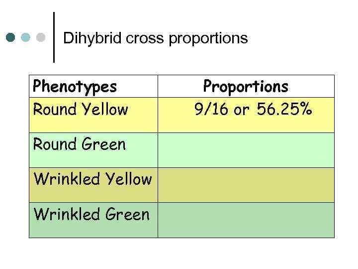 Dihybrid cross proportions Phenotypes Round Yellow Round Green Wrinkled Yellow Wrinkled Green Proportions 9/16