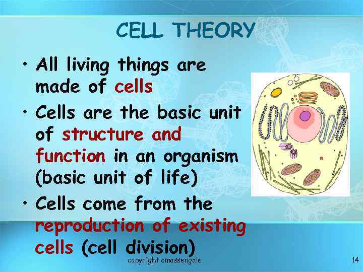 CELL THEORY • All living things are made of cells • Cells are the