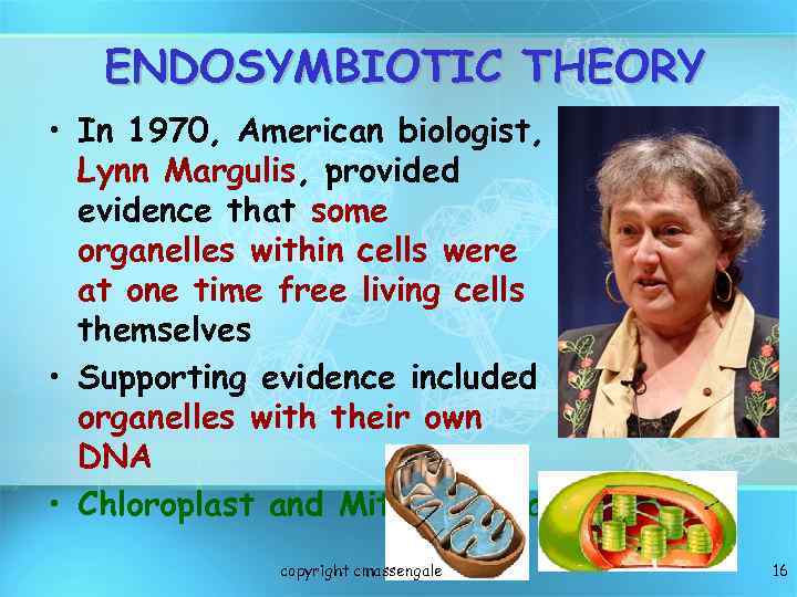 ENDOSYMBIOTIC THEORY • In 1970, American biologist, Lynn Margulis, provided evidence that some organelles