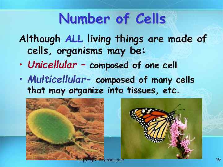 Number of Cells Although ALL living things are made of cells, organisms may be: