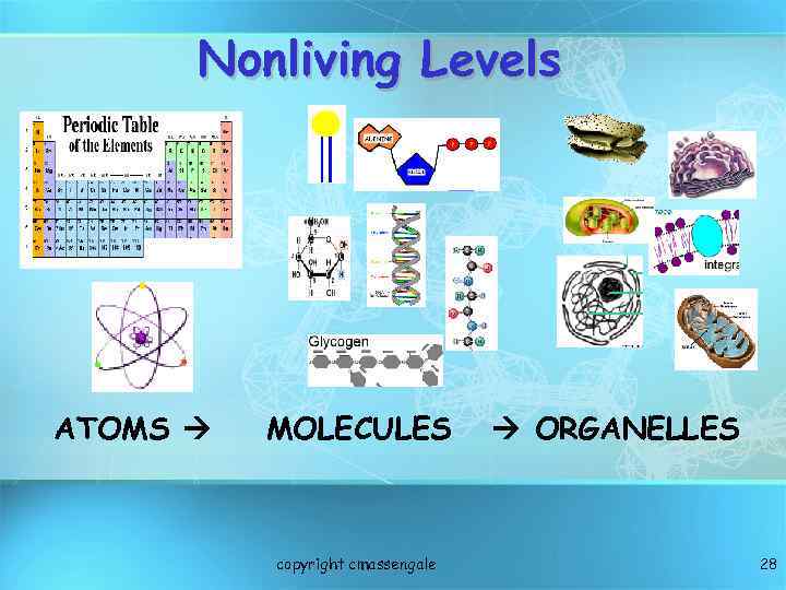 Nonliving Levels ATOMS MOLECULES copyright cmassengale ORGANELLES 28 