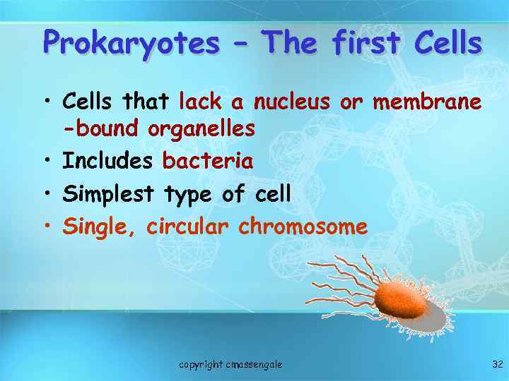 Prokaryotes – The first Cells • Cells that lack a nucleus or membrane -bound