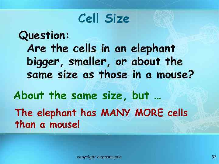 Cell Size Question: Are the cells in an elephant bigger, smaller, or about the