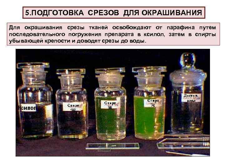 5. ПОДГОТОВКА СРЕЗОВ ДЛЯ ОКРАШИВАНИЯ Для окрашивания срезы тканей освобождают от парафина путем последовательного