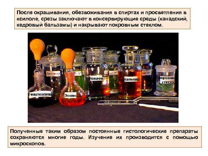 После окрашивания, обезвоживания в спиртах и просветления в ксилоле, срезы заключают в консервирующие среды