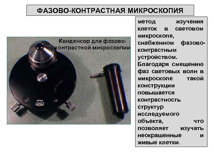 ФАЗОВО-КОНТРАСТНАЯ МИКРОСКОПИЯ метод изучения клеток в световом микроскопе, снабженном фазовоконтрастным устройством. Благодаря смещению фаз