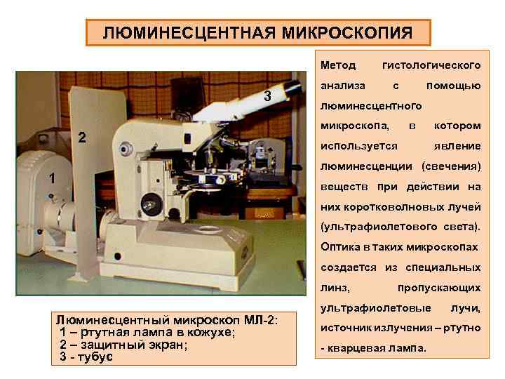 ЛЮМИНЕСЦЕНТНАЯ МИКРОСКОПИЯ Метод гистологического анализа с помощью люминесцентного микроскопа, в используется котором явление люминесценции