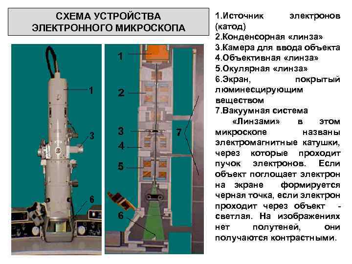 СХЕМА УСТРОЙСТВА ЭЛЕКТРОННОГО МИКРОСКОПА 1. Источник электронов (катод) 2. Конденсорная «линза» 3. Камера для