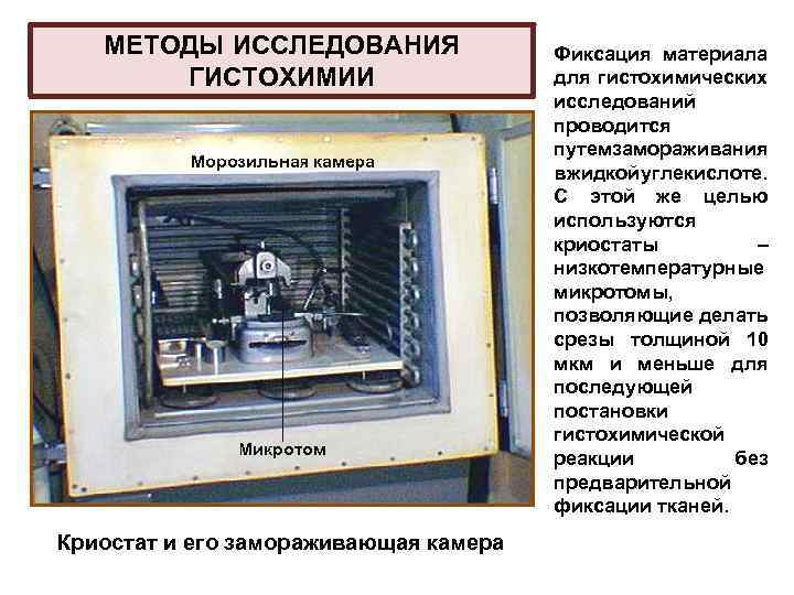 МЕТОДЫ ИССЛЕДОВАНИЯ ГИСТОХИМИИ Криостат и его замораживающая камера Фиксация материала для гистохимических исследований проводится