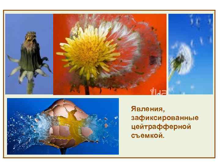 Явления, зафиксированные цейтрафферной съемкой. 