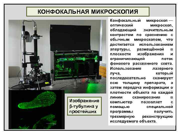 КОНФОКАЛЬНАЯ МИКРОСКОПИЯ Изображение β-тубулина у простейших Конфокальный микроскоп — оптический микроскоп, обладающий значительным контрастом