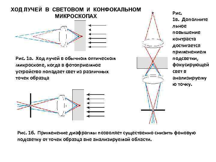 Схема хода лучей в микроскопе