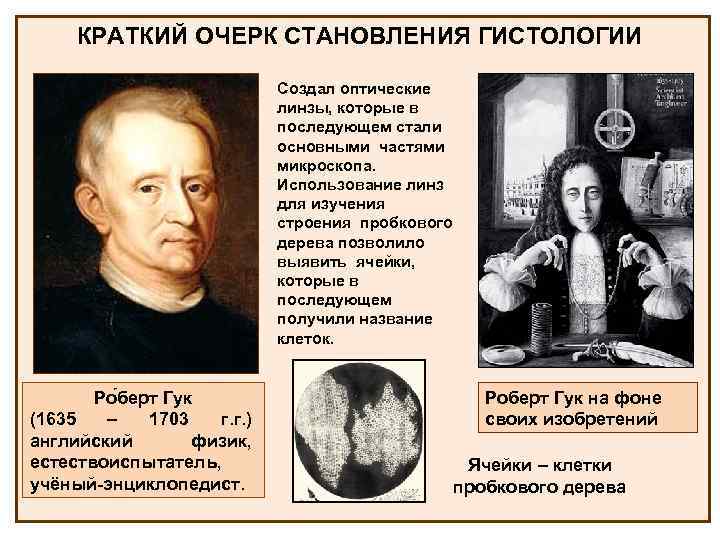 КРАТКИЙ ОЧЕРК СТАНОВЛЕНИЯ ГИСТОЛОГИИ Создал оптические линзы, которые в последующем стали основными частями микроскопа.