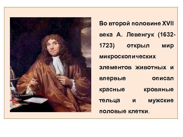 Во второй половине XVII века А. Левенгук (16321723) открыл мир микроскопических элементов животных и