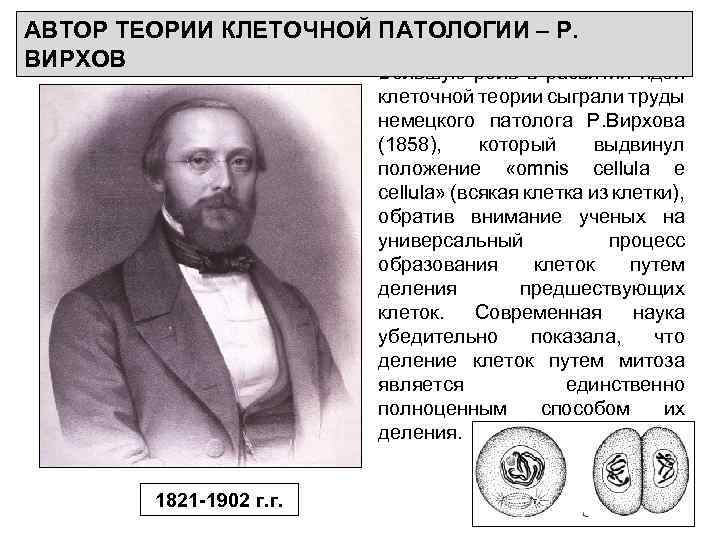 АВТОР ТЕОРИИ КЛЕТОЧНОЙ ПАТОЛОГИИ – Р. ВИРХОВ Большую роль в развитии идей клеточной теории