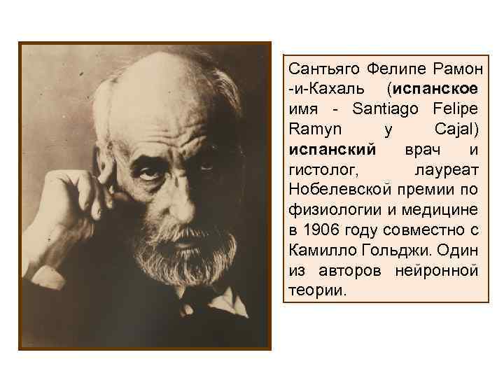 Сантьяго Фелипе Рамон -и-Кахаль (испанское имя - Santiago Felipe Ramуn y Cajal) испанский врач